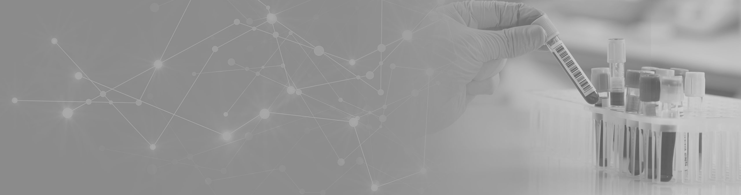 immagine rappresentativa del servizio Punto Prelievo presso Poliluretta